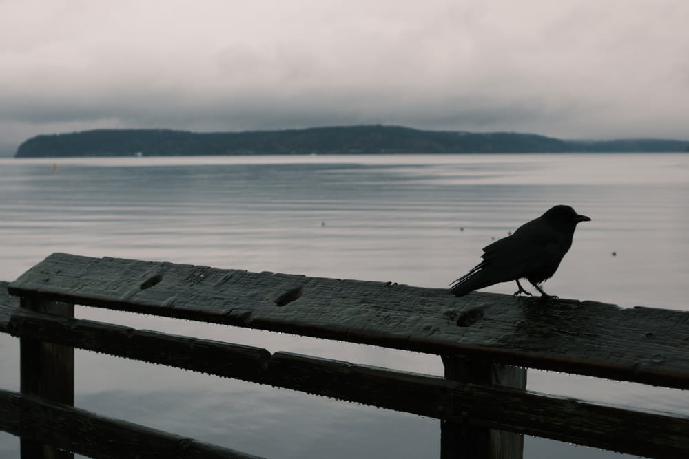 I'm split in half but that will have to do